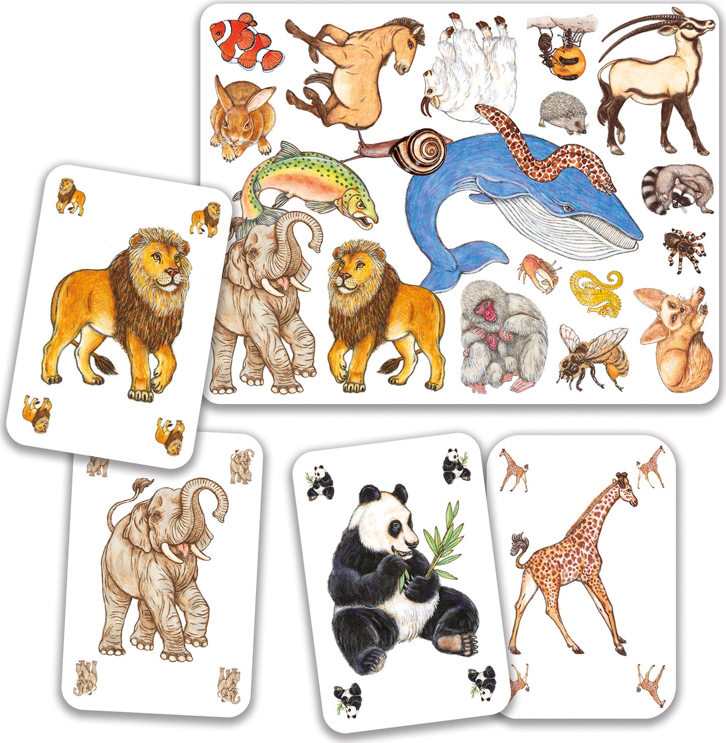 DJECO Zanimatch Observation and Speed Card Game
