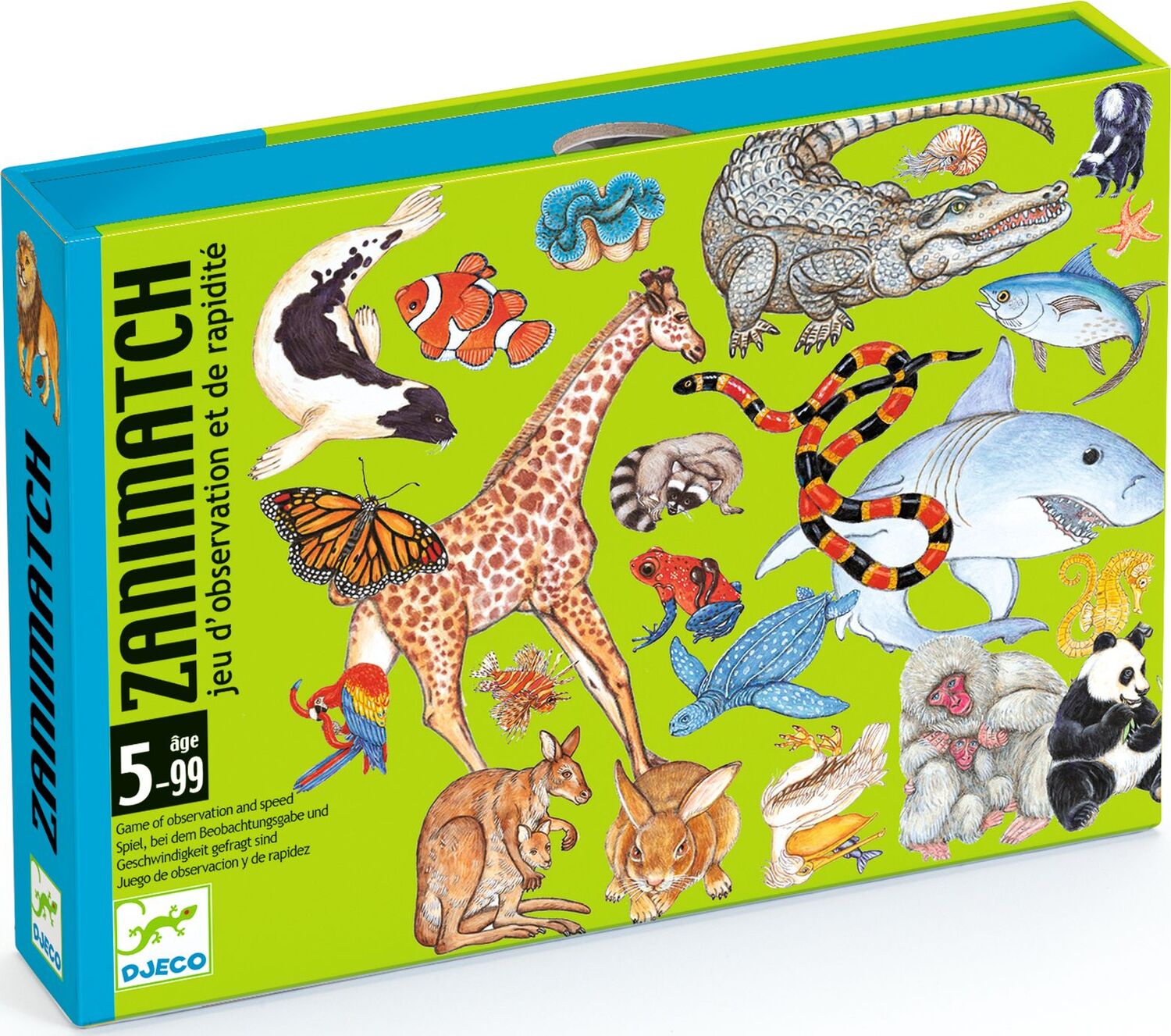 DJECO Zanimatch Observation and Speed Card Game