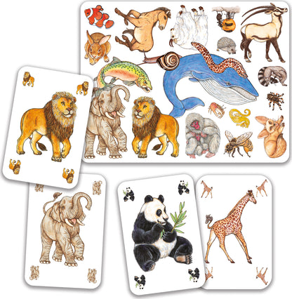DJECO Zanimatch Observation and Speed Card Game