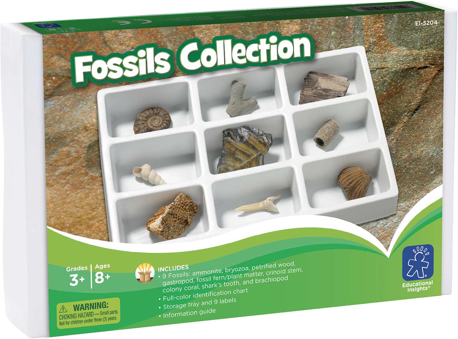 Fossils Collection