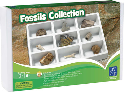 Fossils Collection
