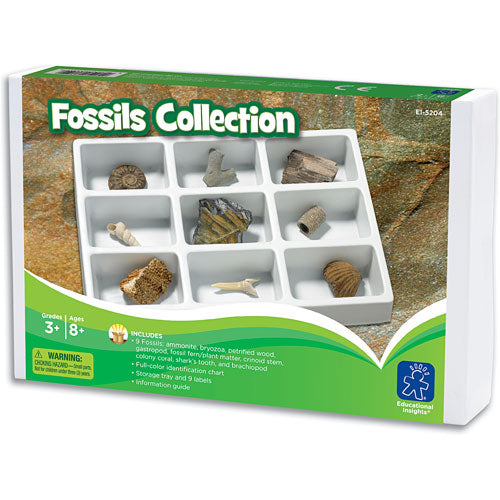 Fossils Collection