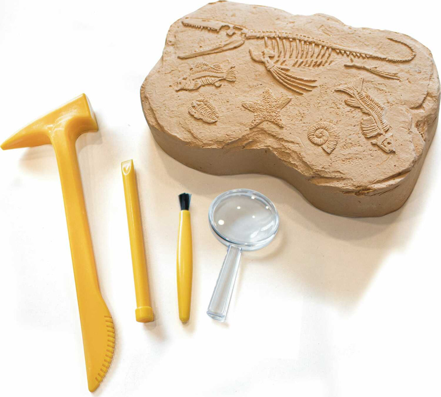 GeoSafari® Fossil Excavation Kit
