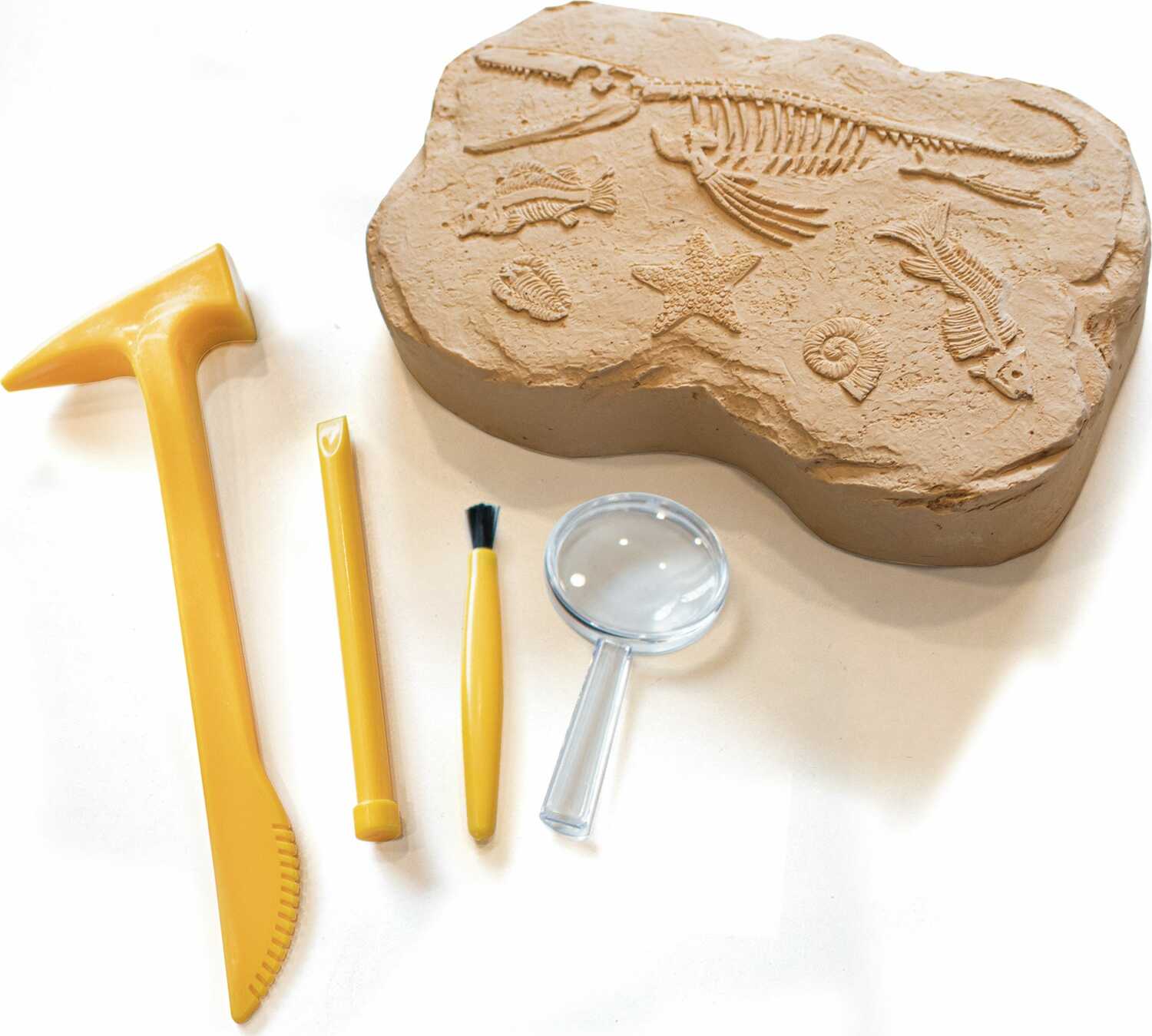 GeoSafari® Fossil Excavation Kit