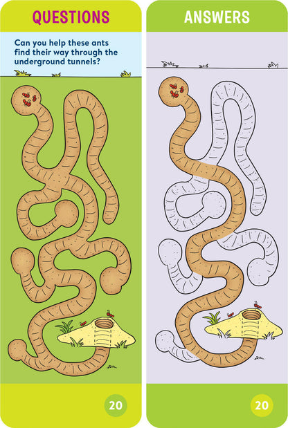 Brain Quest Pre-Kindergarten Smart Cards Revised 5th Edition