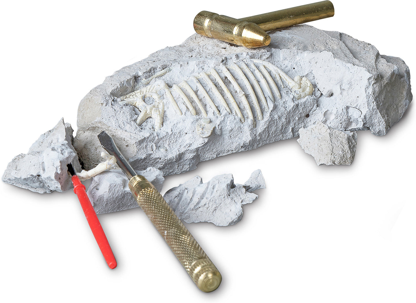 Tyrannosaurus Paleontology Kit