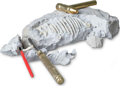 Tyrannosaurus Paleontology Kit