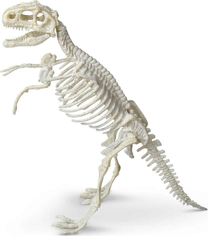 Tyrannosaurus Paleontology Kit