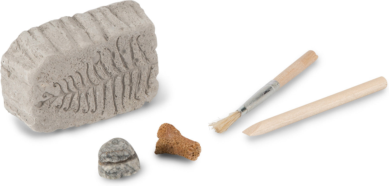 Fossil Dig (assorted)