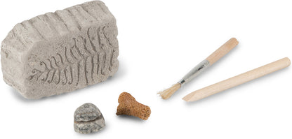 Fossil Dig (assorted)