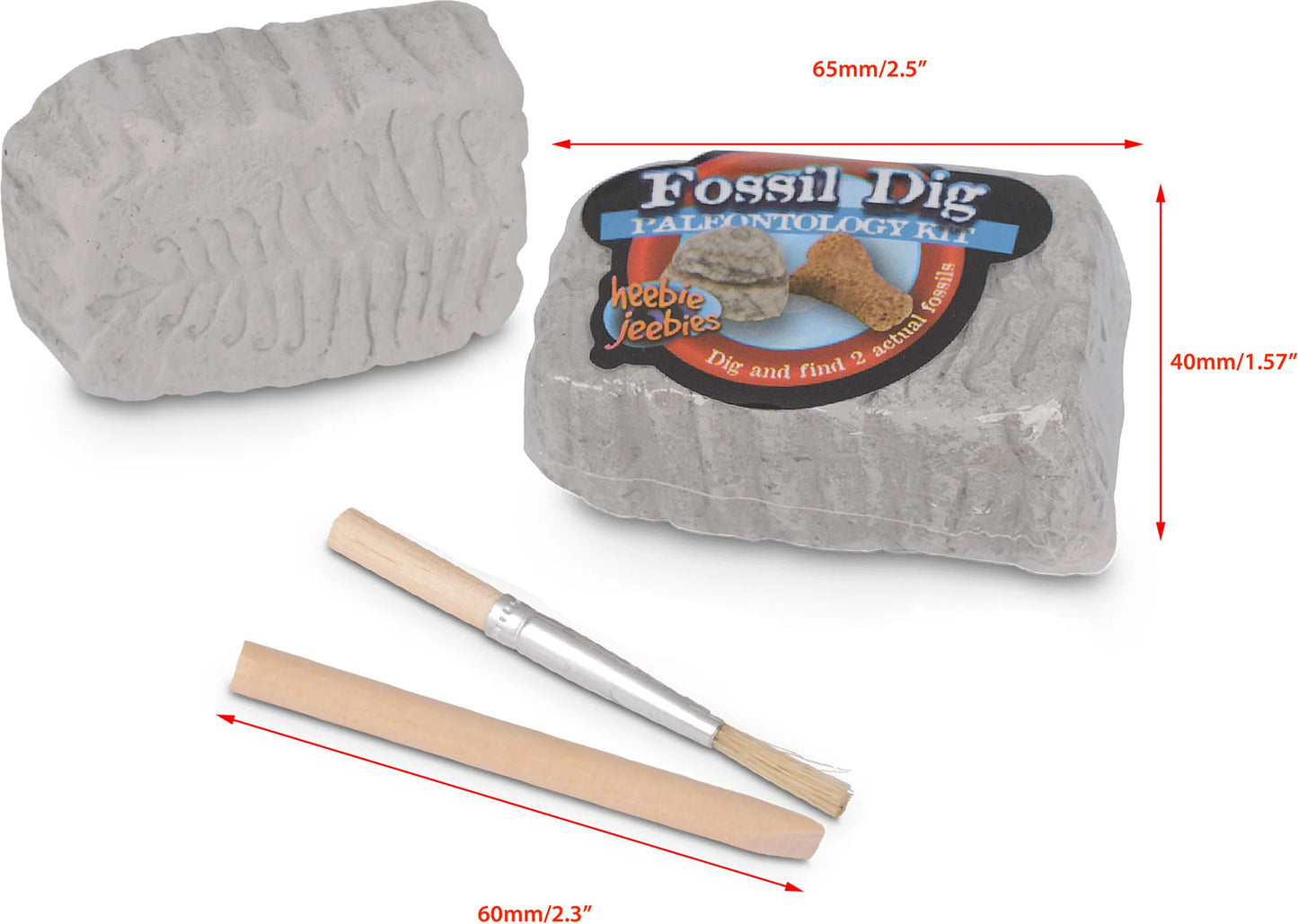Fossil Dig (assorted)