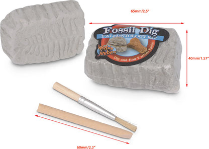 Fossil Dig (assorted)