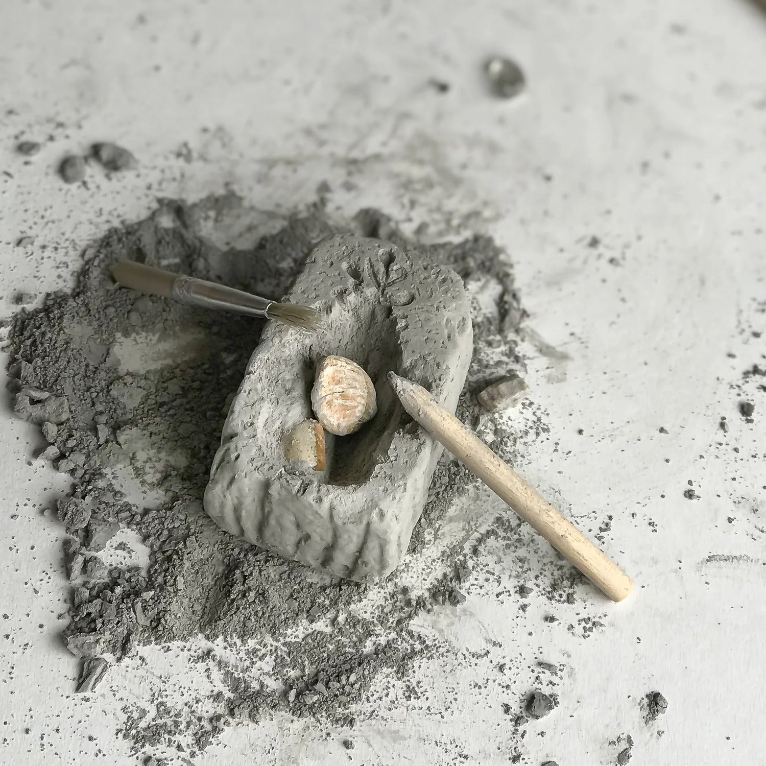 Fossil Dig (assorted)