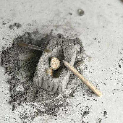Fossil Dig (assorted)