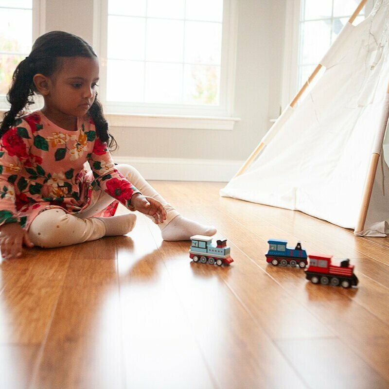 Pull Back Trains (assorted)