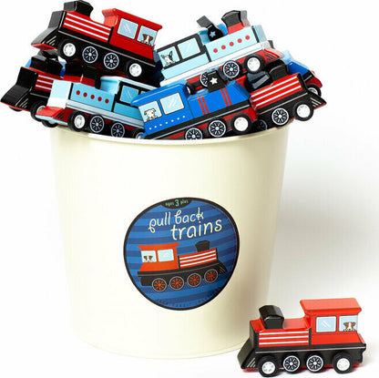 Pull Back Trains (assorted)