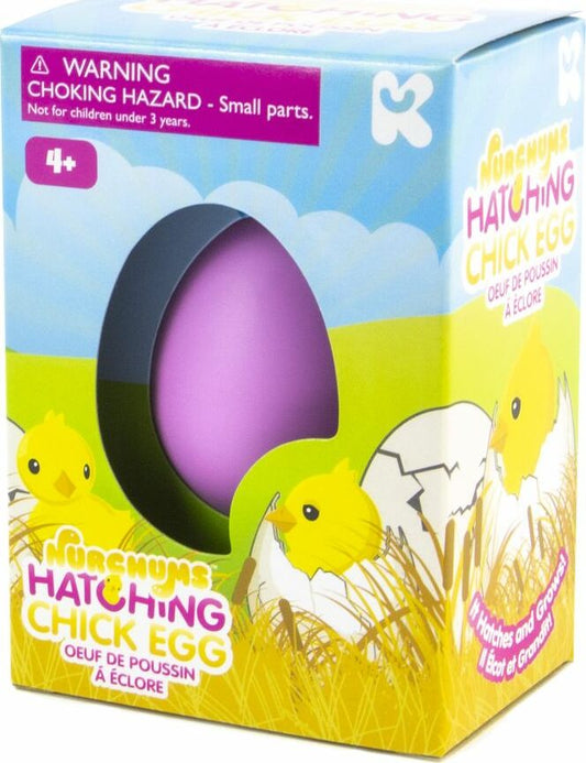NURCHUMS Small Chick Hatching Eggs