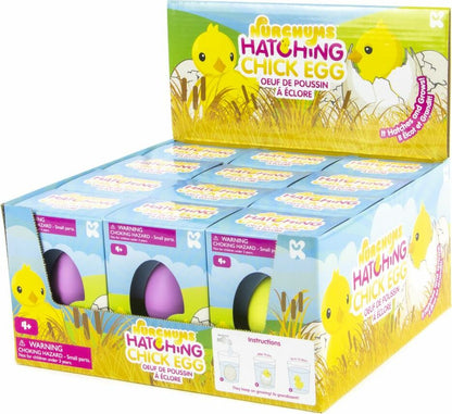 NURCHUMS Small Chick Hatching Eggs