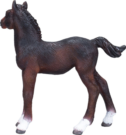 Hanoverian Foal Bay