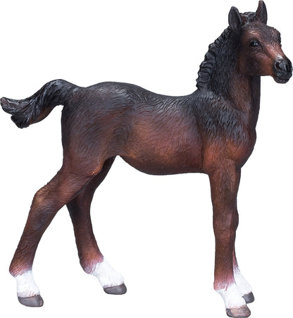 Hanoverian Foal Bay
