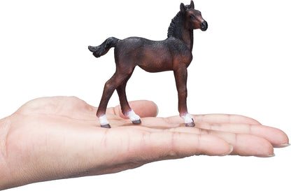 Hanoverian Foal Bay