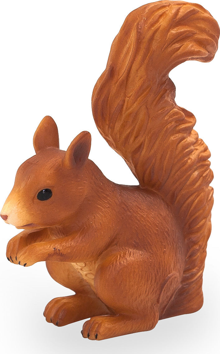 Squirrel Standing