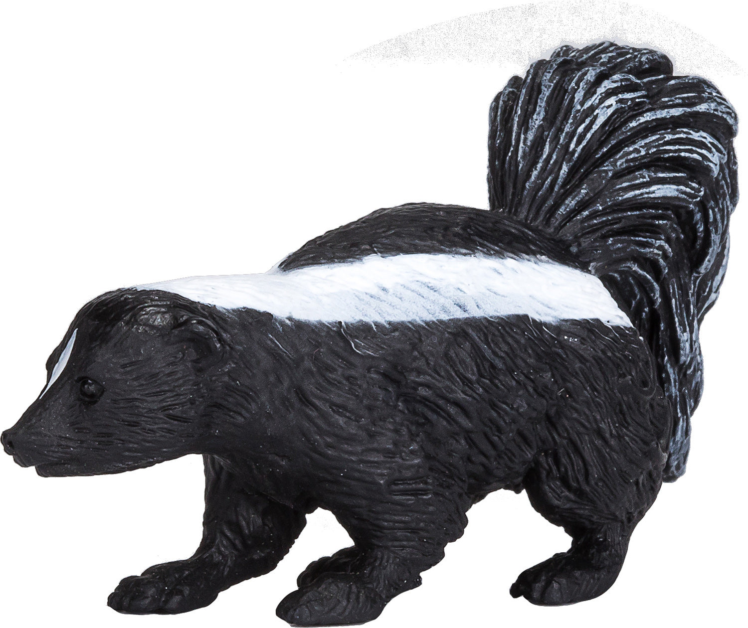 Skunk