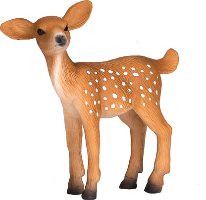 White Tailed Deer Fawn