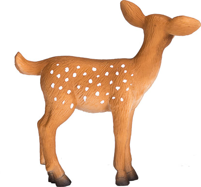 White Tailed Deer Fawn