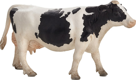 Holstein Cow
