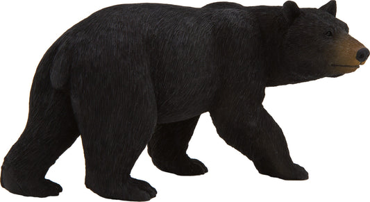 American Black Bear