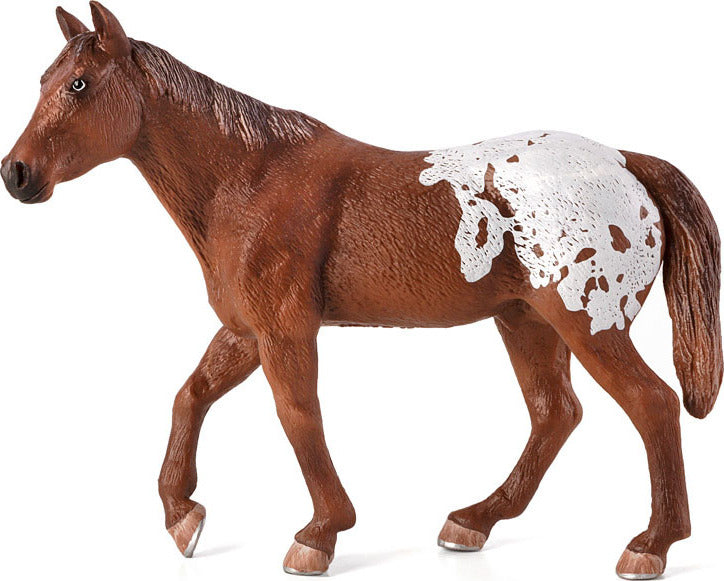 Appaloosa Stallion Chestnut Blanket