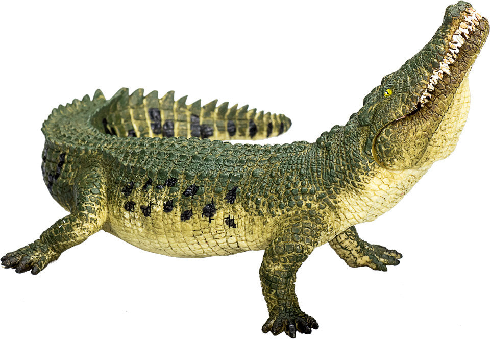 Crocodile with Articulated Jaw