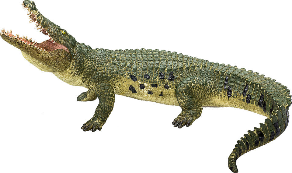 Crocodile with Articulated Jaw