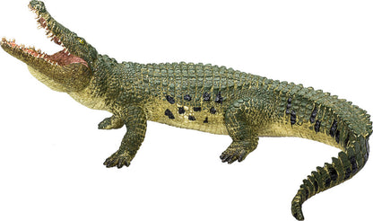 Crocodile with Articulated Jaw