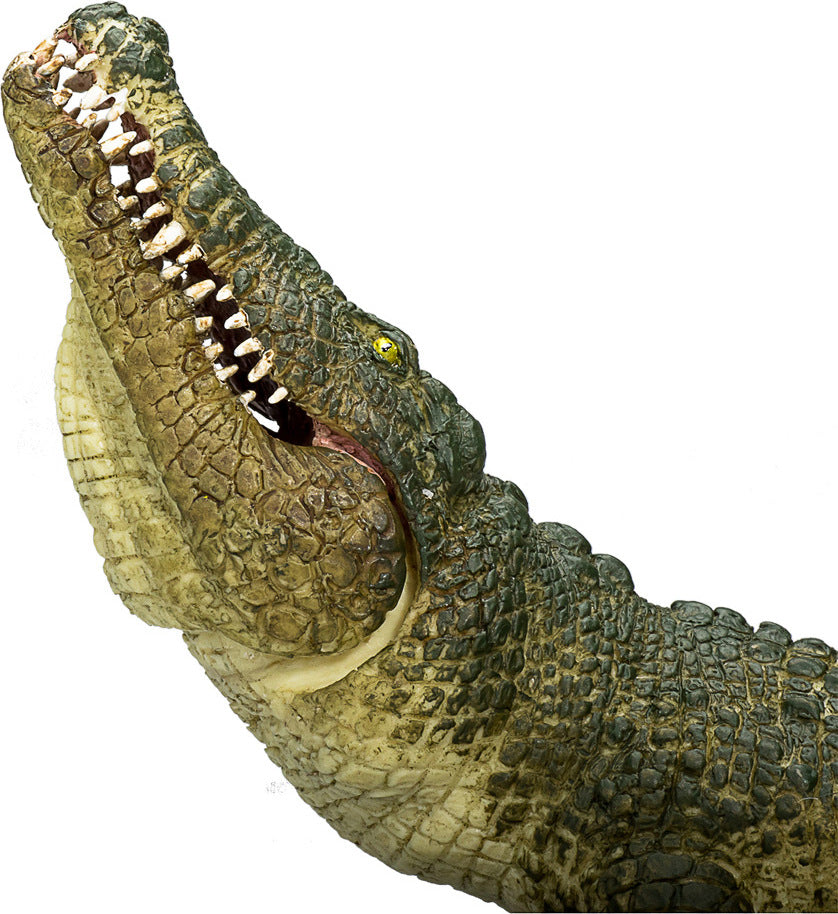 Crocodile with Articulated Jaw
