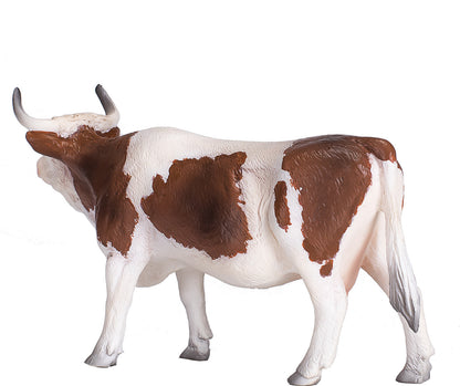 Simmental Cow