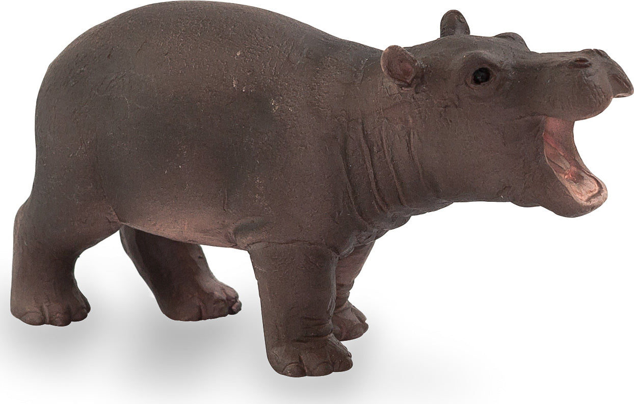 Hippo Baby