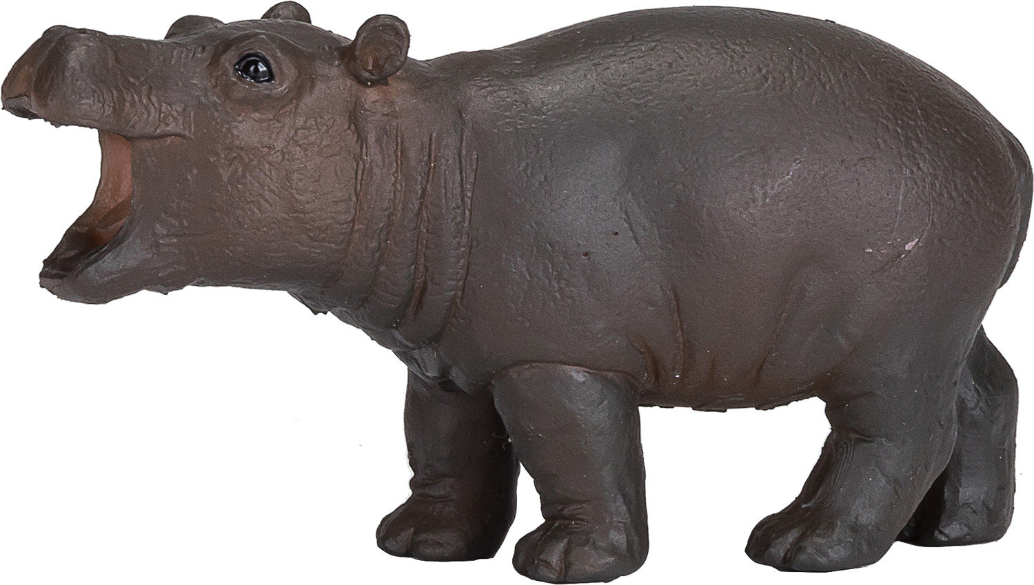 Hippo Baby