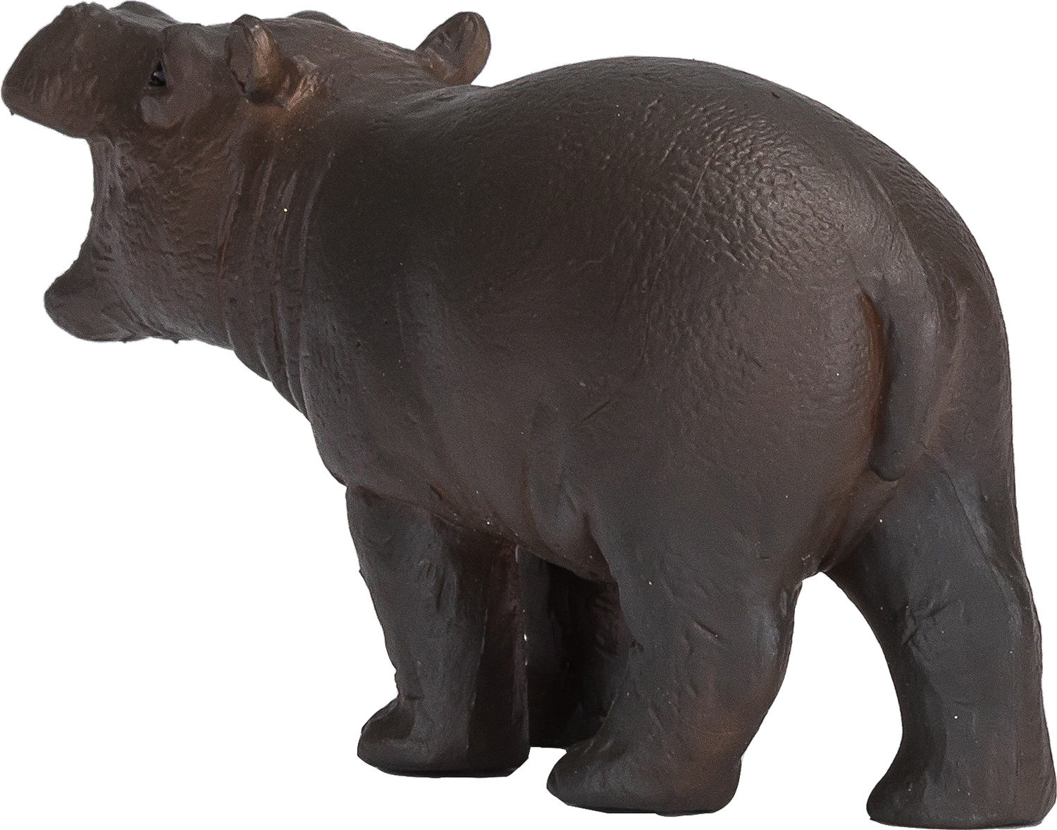 Hippo Baby