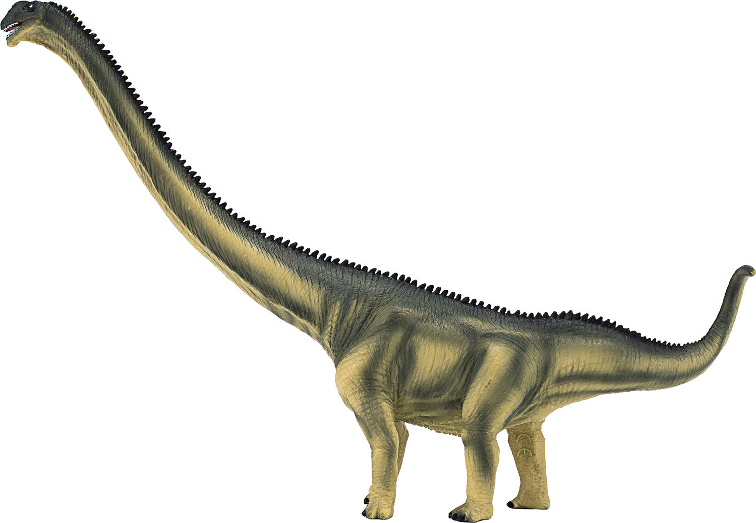 Deluxe Mamenchisaurus