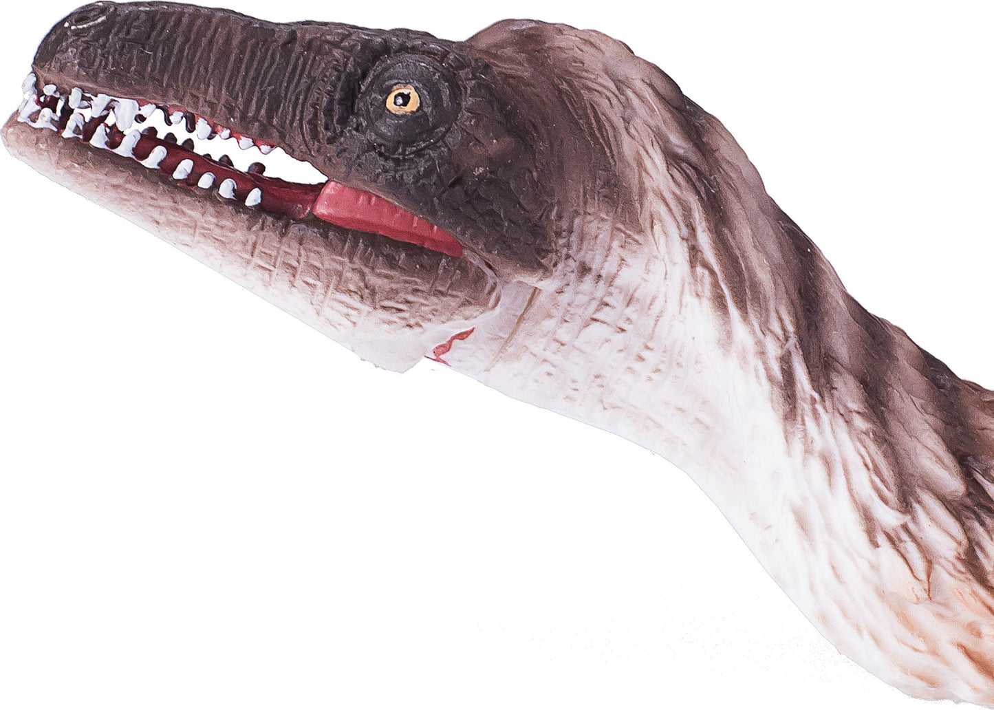 Troodon with Articulated Jaw