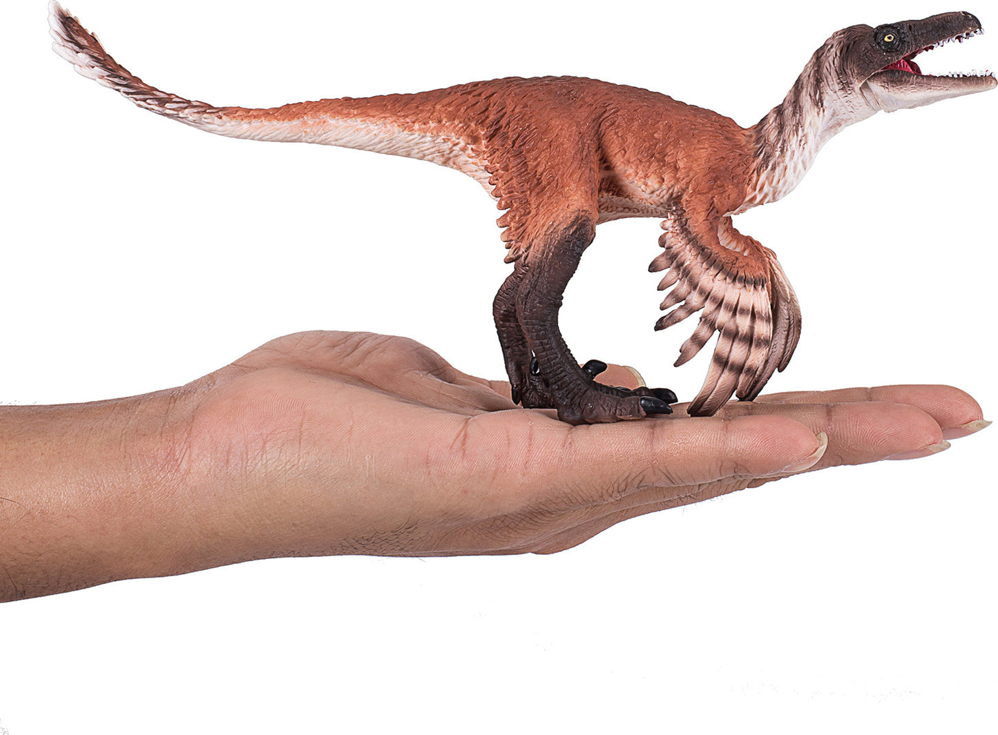 Troodon with Articulated Jaw