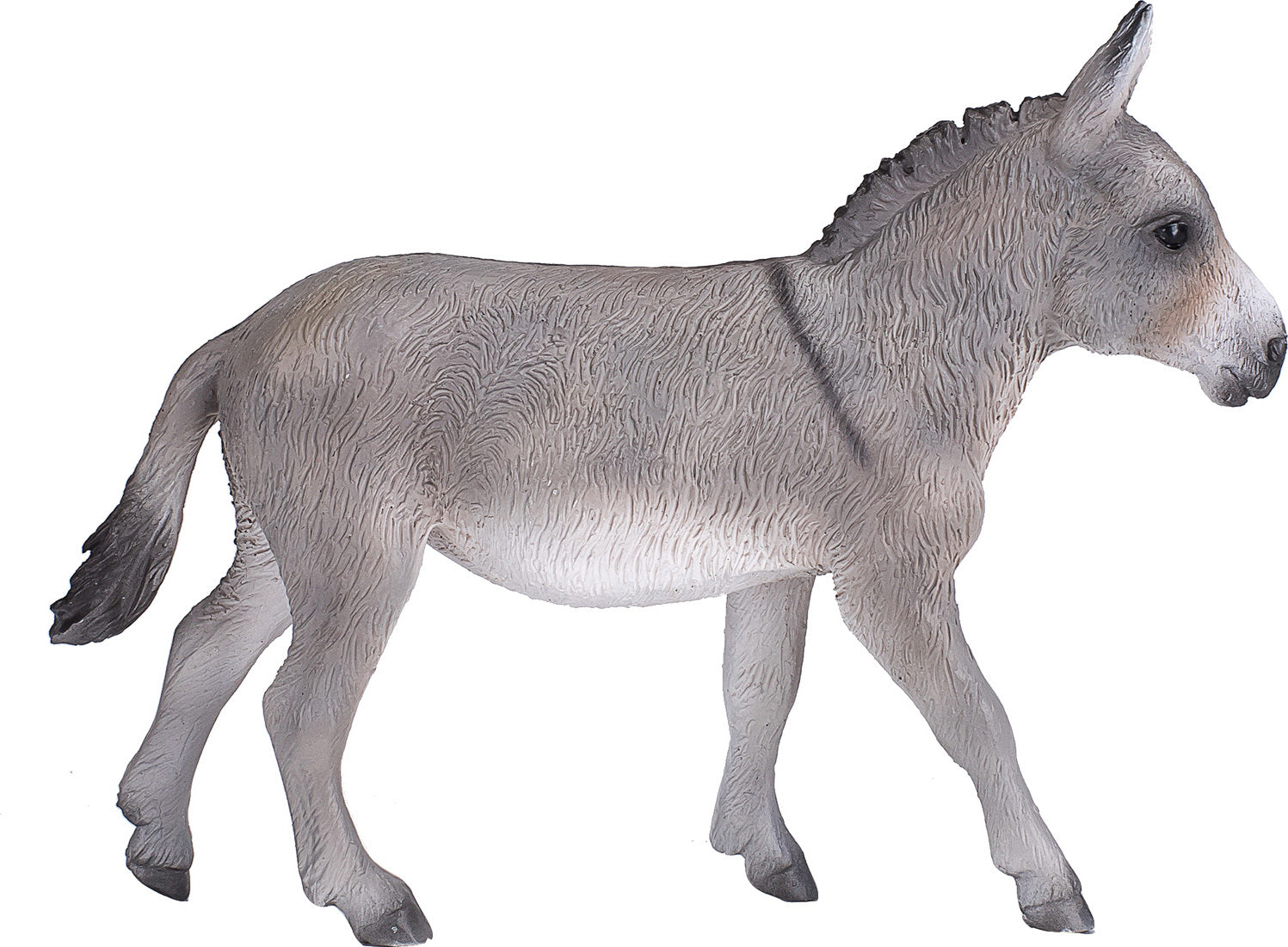 Donkey