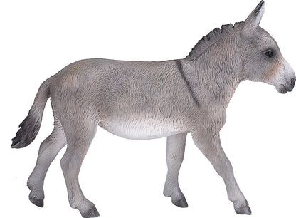 Donkey