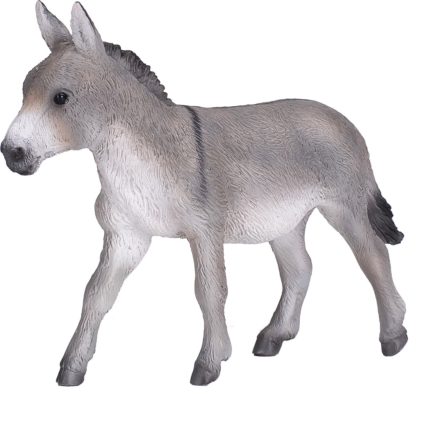Donkey