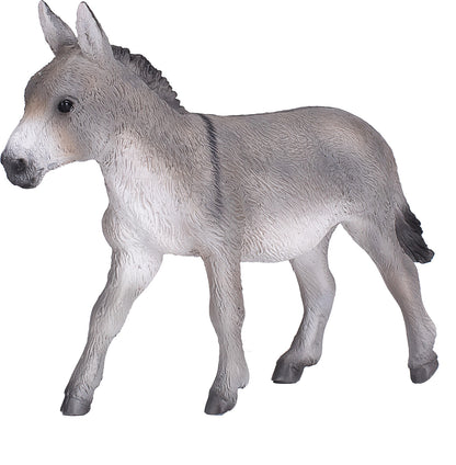 Donkey