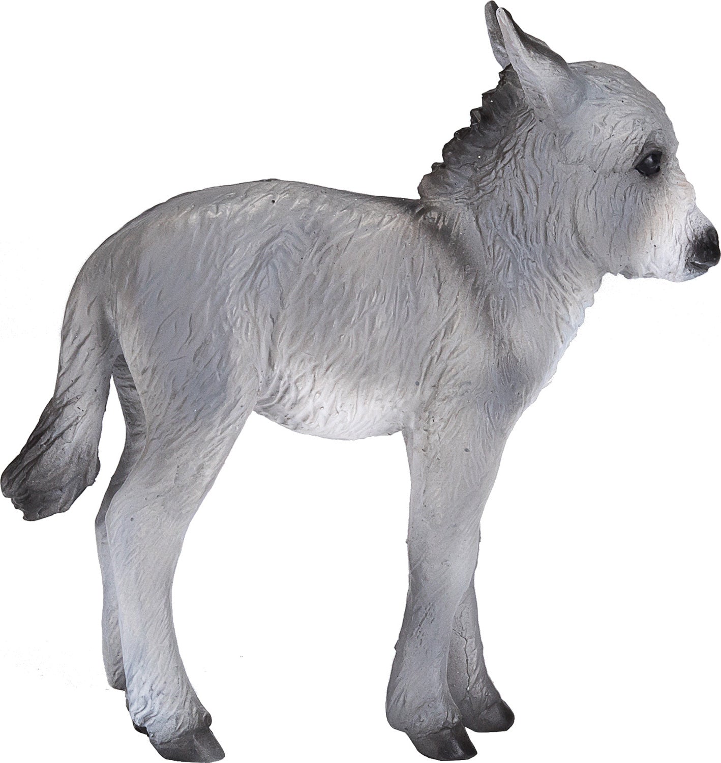 Donkey Foal