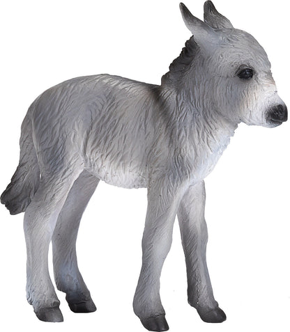 Donkey Foal