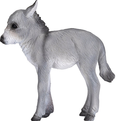 Donkey Foal